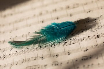 piano sheet on paper with a turquoise feather, vintage style