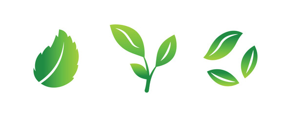 Vector leaf icons on white background. Theme of ecology, nutrition, cosmetology. Natural component. Set of green leaves. 