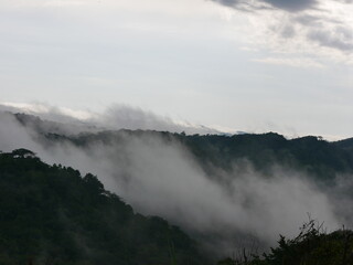 mountain ranges in tropical forests covered by moisture clouds, in Panama