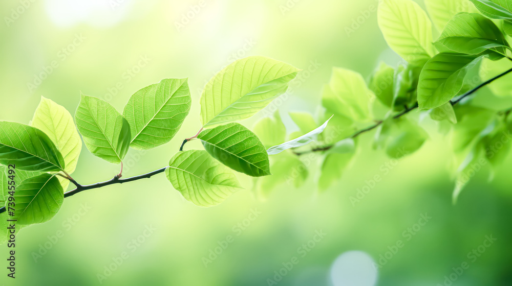 Aufkleber fresh green tree leaves form a vibrant frame, creating a natural and refreshing background that brin