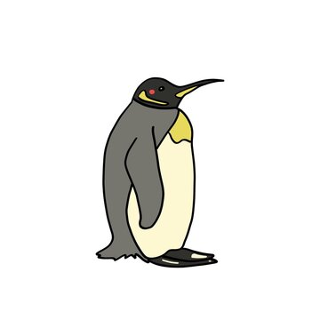 Hand-drawn emperor penguin on
a white background
