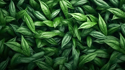 Obraz premium An aerial view captures bushes laden with ripening chili peppers, their vibrant colors promising a fiery burst of flavor and spice for culinary delights.