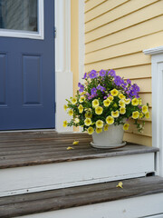 Colorful flowers and home on the streets of Lunenberg Nova Scotia