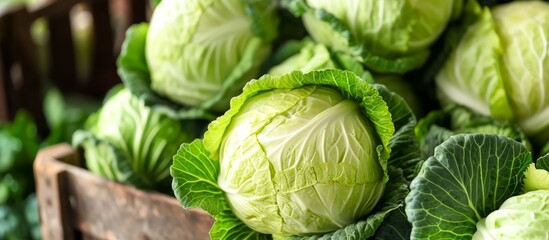 Obraz premium Fresh green cabbages arranged neatly on a wooden table in a rustic setting