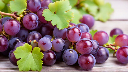 Grape Harvest 
