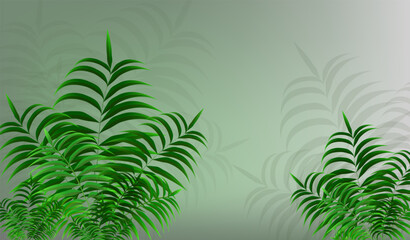 Green leaves of a young palm tree on an abstract background