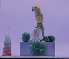  Cockatoo carved in stone