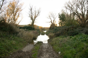 Beautiful views of the Henares River