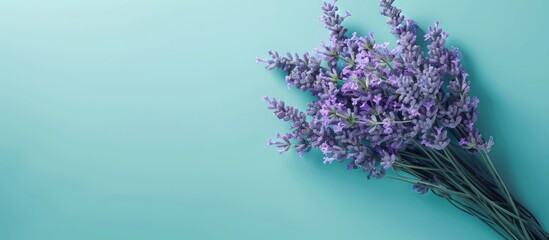 Aromatherapy purple lavender bouquet flower isolated on mint green background. AI generated image - obrazy, fototapety, plakaty