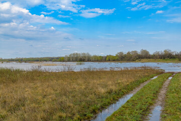 Fototapeta na wymiar Flooded area near the Dnieper River in spring