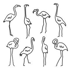 Set of abstract flamingos. Line drawing minimalist design. Hand drawn art. - 739488091