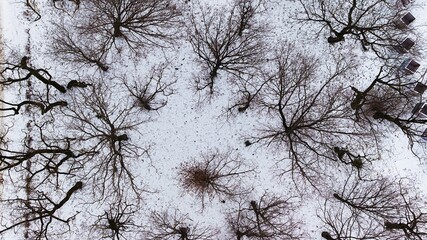 Snow-covered lawns and leafless trees in Poznań Citadel during January winter, captured by drone.