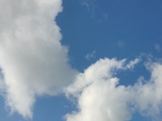 Obraz premium clouds in the sky