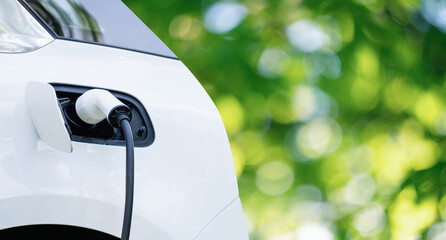 Close up of electric car inlet with a connected charging cable on a green background..
