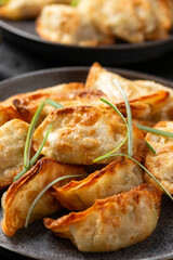 Crispy fried dumplings Gyoza with vegetables. Asian food.