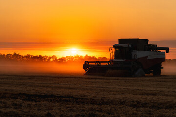 Fototapeta premium Combine harvester on the field at sunset