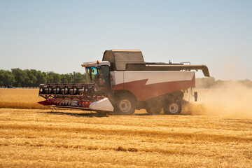 Combine harvester on the wheat field - obrazy, fototapety, plakaty