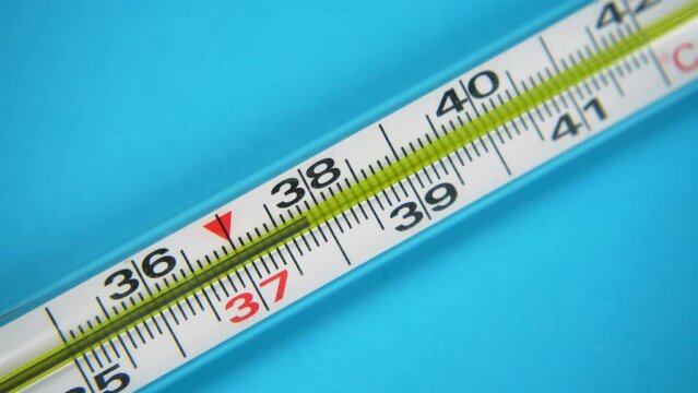 Glass mercurial thermometer shows increase in temperature to 39 degrees. Thermometer with high temperature of the body in blue background. Sign of pneumonia virus. Close Up