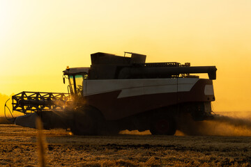 Combine harvester on the field at sunset