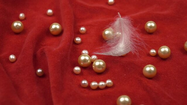 White swan feather falls on the red velvet with pearl beads laying on it, slow motion 
