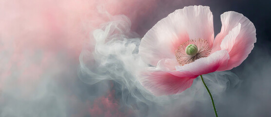 Pastelowy różowy kwiat, abstrakcyjny mak i dym. Abstrakcyjne różowe tło kwiatowe - obrazy, fototapety, plakaty