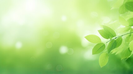 Naklejka premium Modern abstract green nature background,