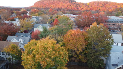 aerial image: trees in a small american city on New England  during the autumn with yellow and red leaves, with fall color