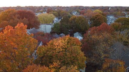 aerial image: trees in a city during the autumn with yellow and red leaves, with fall color