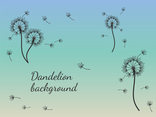 Abstract background dandelion design for decoration design.