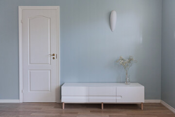 Living room furniture on floor in front of blue empty wall and white door - 739516210