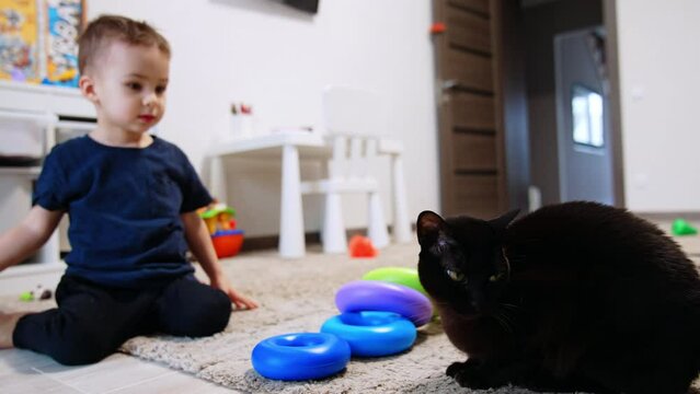 Caucasian child and black cat sitting on the floor. Baby boy pets the cat carefully. Close up.