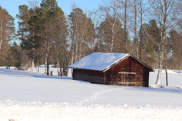 wooden house in the snow