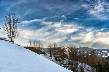 A snowy landscape with a lone tree and a dramatic sky. This photo can be used for concepts of solitude, nature, winter, and beauty