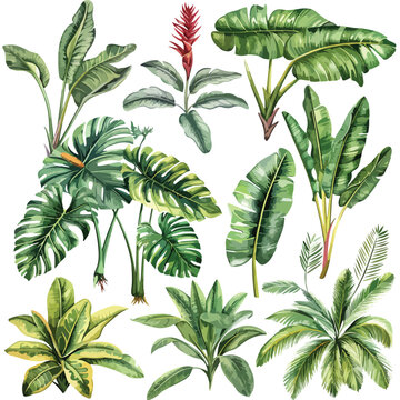 Large hand drawn watercolor tropical plants set i