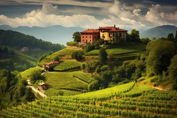 Foto op Canvas Scenic vineyard in Italy at summer day © neirfy