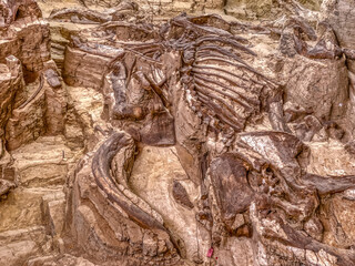 Mammoth Fossil Dig Site in Hot Springs, South Dakota © Jacob