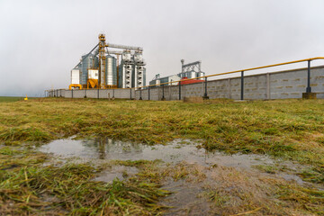 Obraz premium silver silos on agro manufacturing plant for processing drying cleaning and storage of agricultural products, flour, cereals and grain. Large iron barrels of grain. Granary elevator