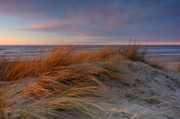 Wydmy na wybrzeżu Morza Bałtyckiego, w pastelowych kolorach zachodzącego słońca, Kołobrzeg, Polska.