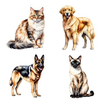 Watercolour hand drawn cats and dogs, cute pets animals isolated on white