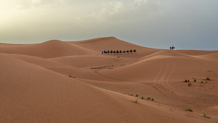 Fototapeta na wymiar Camel journey through Western Sahara, Merzouga, Morocco.