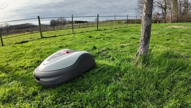 Robot tondeuse cogne l'arbre