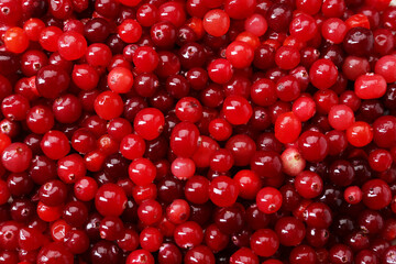 Fresh ripe cranberries as background, top view