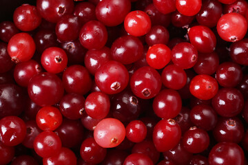 Fresh ripe cranberries as background, top view