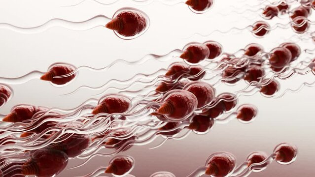 human Sperm Swim to Ovum Cell for natural fertilization and insemination, men's cum fertility, Male sperms cells approaching egg cell, medically accurate of pre-fertilization, spermatozoons, 3d render