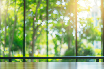 interior of swimming pool with green trees and sunlight.