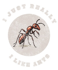 design t-shirt png  ant 