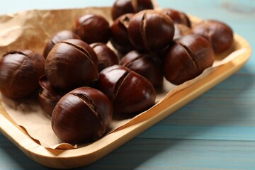 Fresh edible sweet chestnuts in serving plate on light blue wooden table, closeup