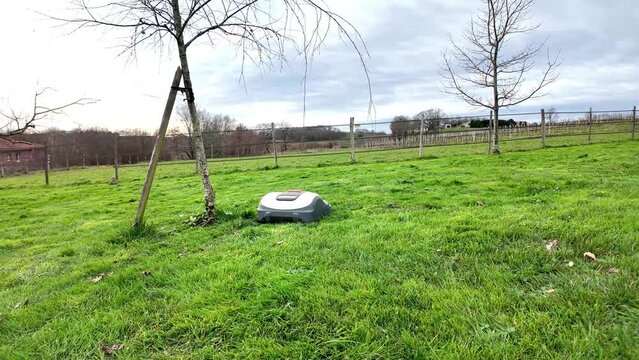 Robot tondeuse et prairie verte