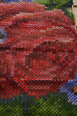 Handmade cross-stitch.Embroidered red rose .