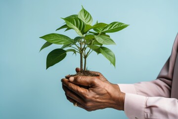 Discover the longevity secrets of blue zone elders. senior hand holding green sprout, live to 100